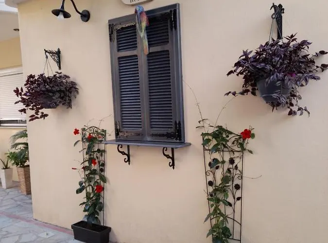 Aparthotel Carpe Diem Nei 3*